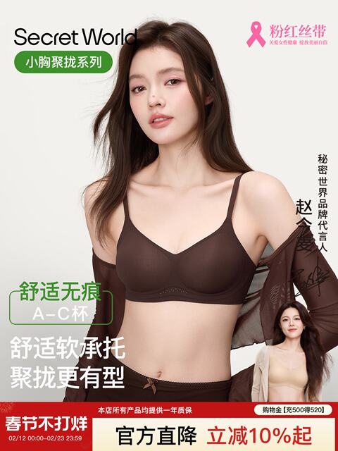 Secretworld Intimates for Women with Small Breasts, Push-Up, Auxiliary Breast Reduction, Anti-Sagging, Seamless, Invisible, Comfortable Bra