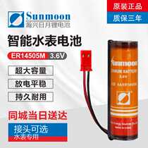 Shenzhen Huaxu Sida Hi-Tech Smart Water Meter Battery ER14505M 6V Card Water Meter Battery Original