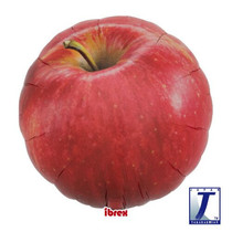 Japanese Takarakosan Apple Tomato Watermelon Orange Tomato Fruit Aluminum Film Floating Air Balloon