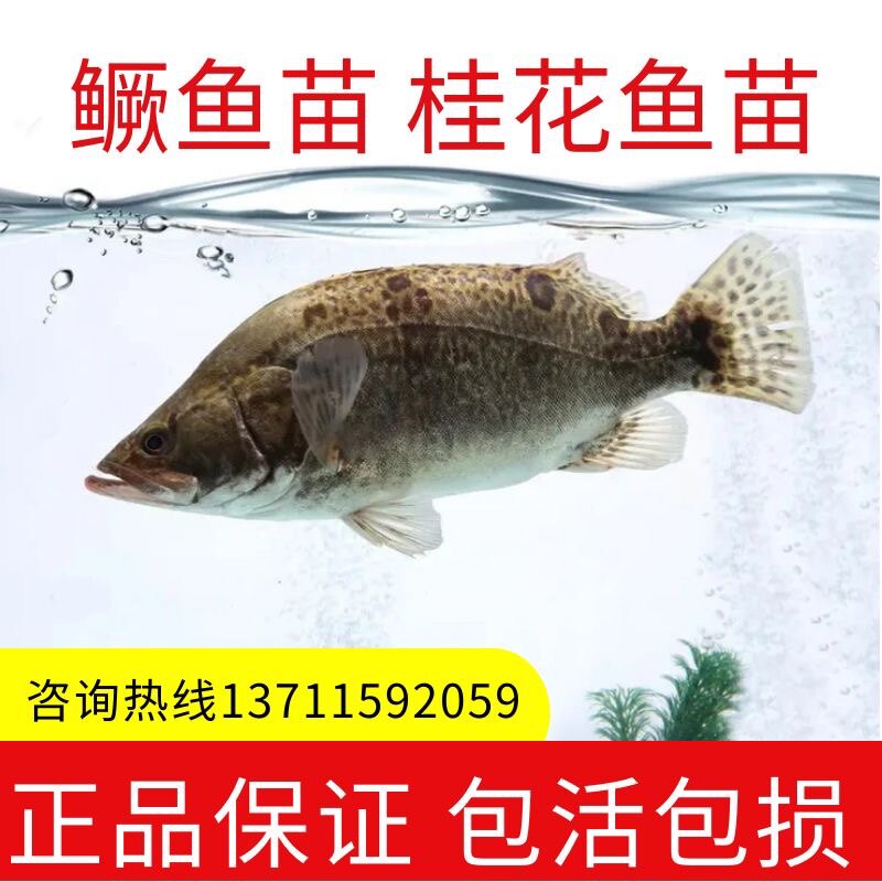 广东粤顺水产养殖基地的LOGO