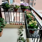 Sắt hai tầng giá đỡ hoa ban công pothos bậu cửa sổ lan can treo móc hoa màu xanh mọng nước hoa chậu cây kệ de chậu hoa ban công