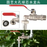 Садоводство двойное выход шариковое ядро ​​много потока Ланды Автоматическая вода Специальная вода большая полная медная 4 -точечная интерфейс