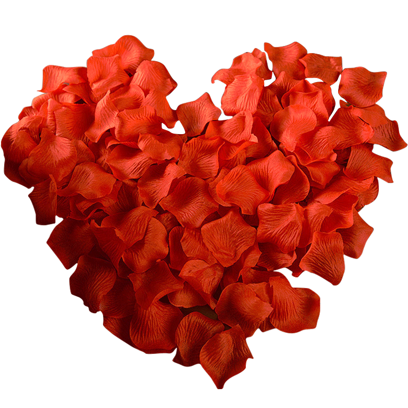 розы спб лепестки роз