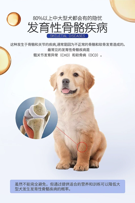 Huanhuazi chó con chó lớn thức ăn cho chó 10kg chó tha mồi vàng Labrador Samoyed bên chăn thả 20 kg - Chó Staples