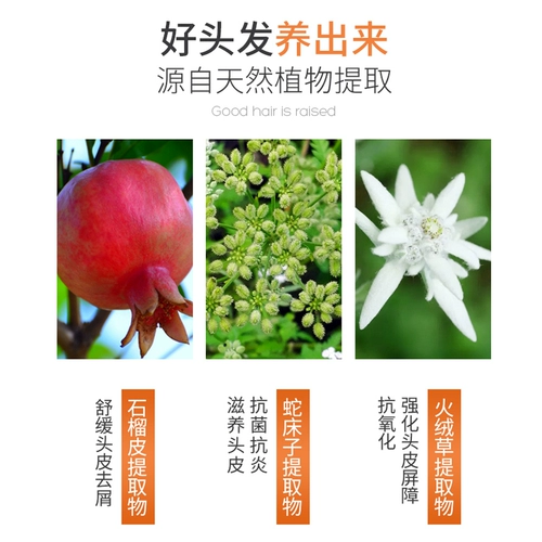 Питательный шампунь, кондиционер, крем для волос со стойким ароматом, комплект, удаление перхоти, против зуда, уход за волосами, долговременный эффект