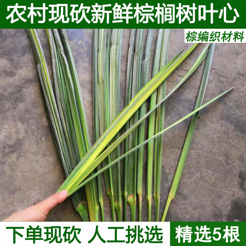 Fresh palm leaf palm tree leaf palm core woven butterfly grasshopper and other palm knitting materials diy handicraft materials