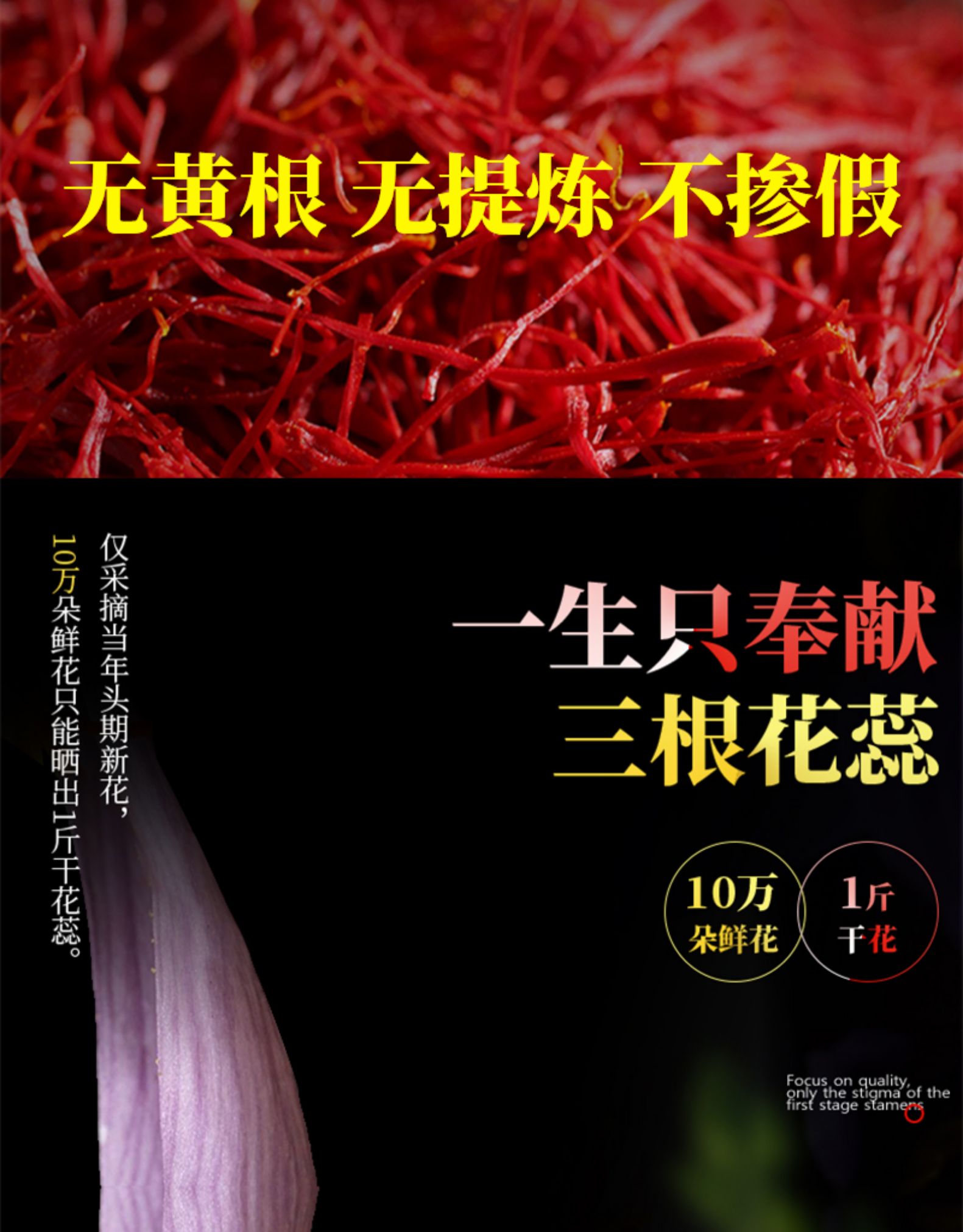 泰圣元 伊朗特级臧红花 1g 图10