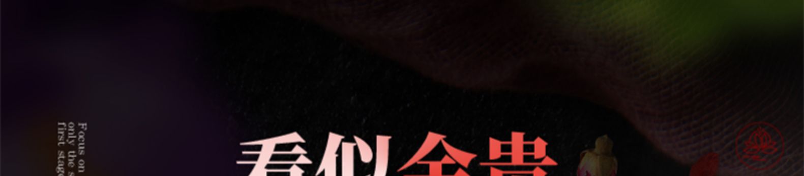 泰圣元 伊朗特级臧红花 1g 图18