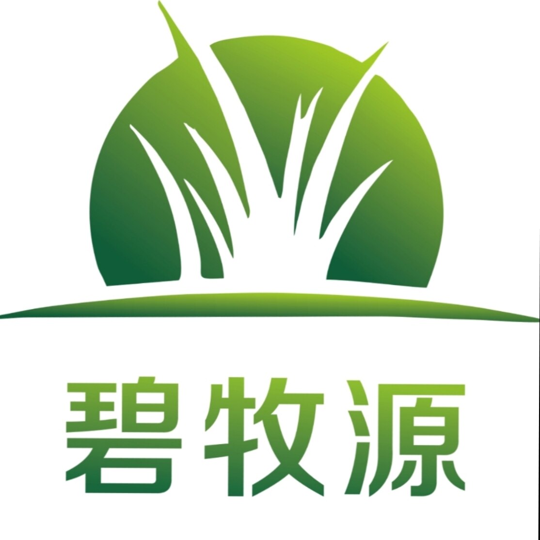 岷县碧牧源草场的LOGO