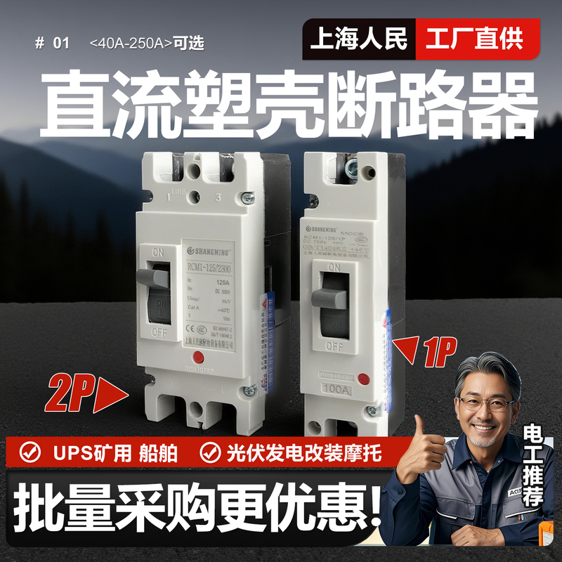 Shanghai People's Dc Plastic Case Circuit Breaker 1P 2P 63A 200A 250A Photovoltaic Dedicated Air Switch Dc500V
