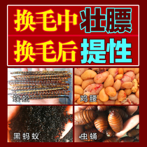 Bullfighting King Handmade Brow Brow Food Painting Brow Feed for wool Hopper Birds material Tired and Fat Nourishment 500g