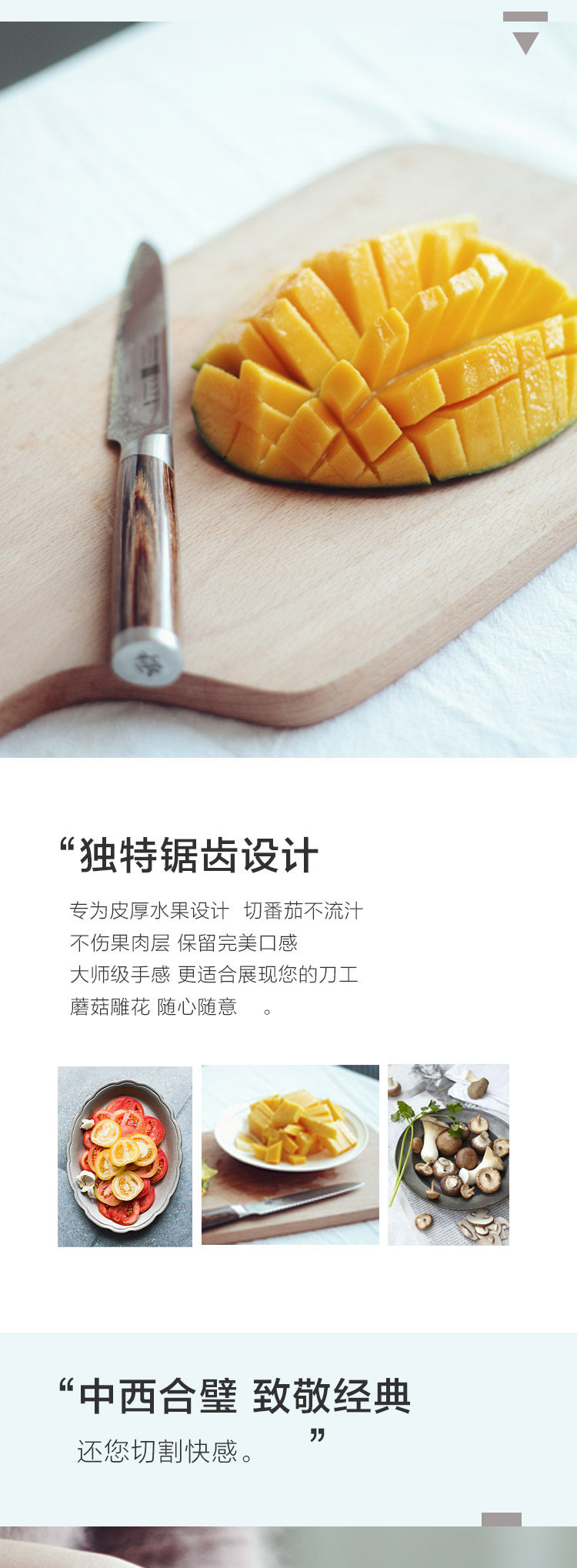 MS1-FRIT и овощной нож-details_02.jpg