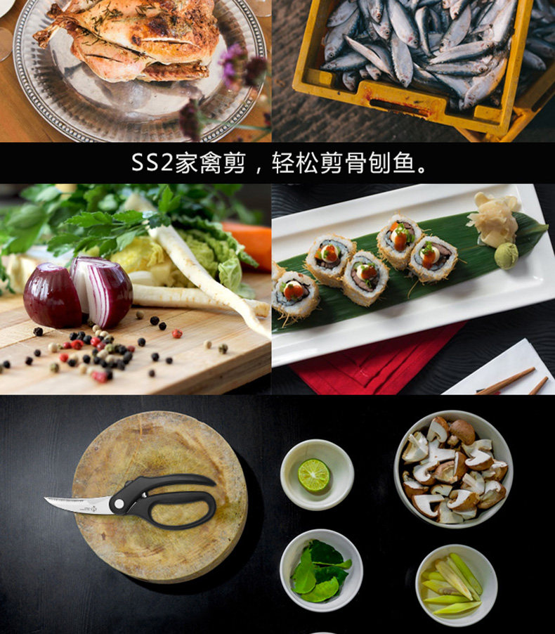 SS2-Coultry Shear_790px_New_r1_07.jpg