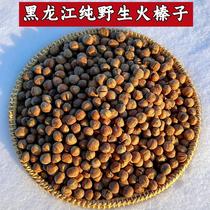 Wild hazelnut Northeast specialty new product Xiaoshan hazelnut original flavor freshly fried raw hazelnut dried fruit nut snack 500g