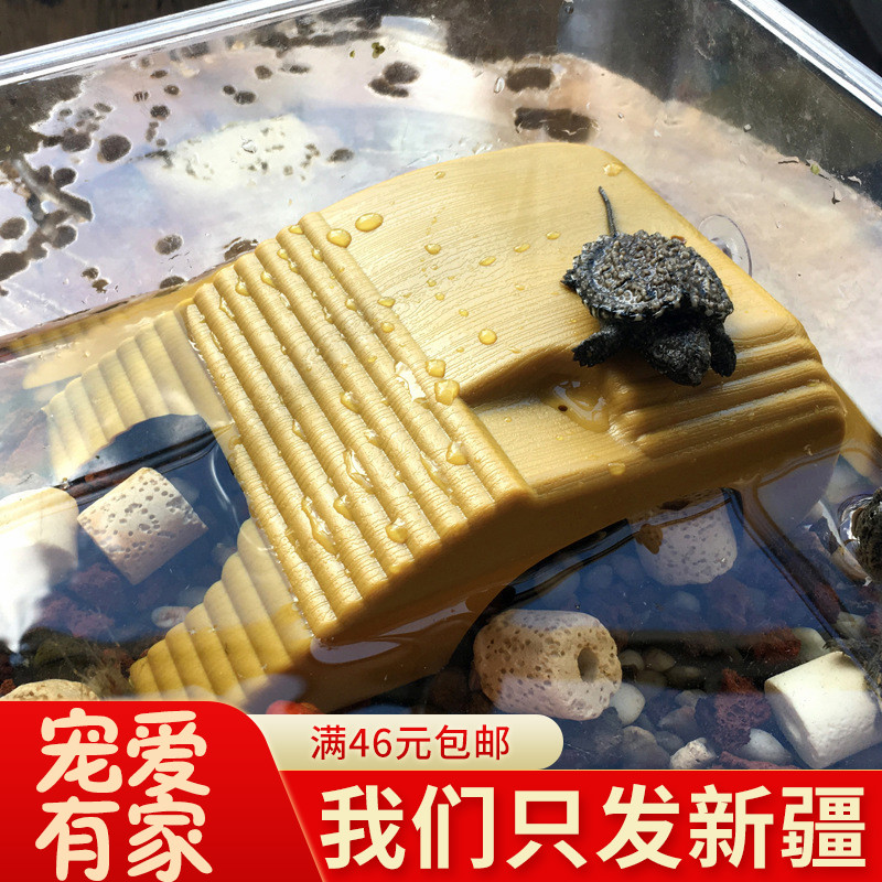 Turtle Sun Back Floating Island Water Turtle Sundae Turtle Sun Terrace Climbing Terrace Climbing and Pet Sinking Plastic Tortoise Terrace Shelter