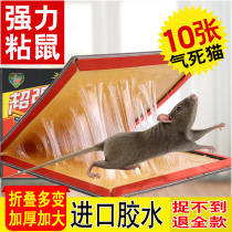 Sticky mouse board strong mouse paste board glue 10 sheets to catch and kill large mouse trap rat trap artifact household affordable package