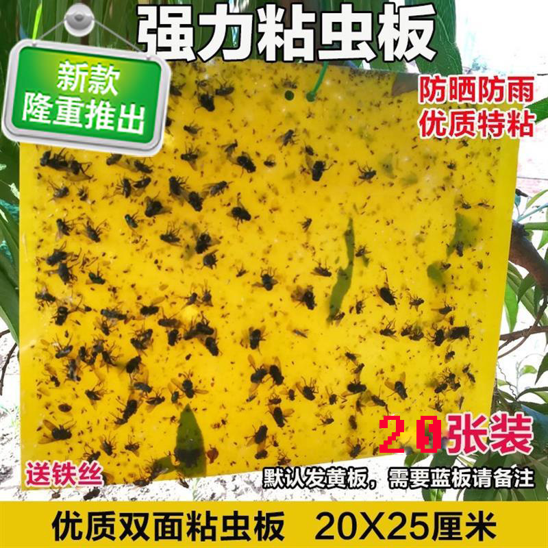 Sticky insect board yellow board double-sided pvc waterproof insect trap board blue board fruit fly board insecticidal board tea garden greenhouse aphid glue board