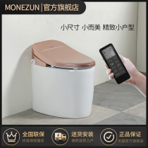 Germany Mozhi small household intelligent toilet one-piece instant cleaning and drying Household small size intelligent toilet