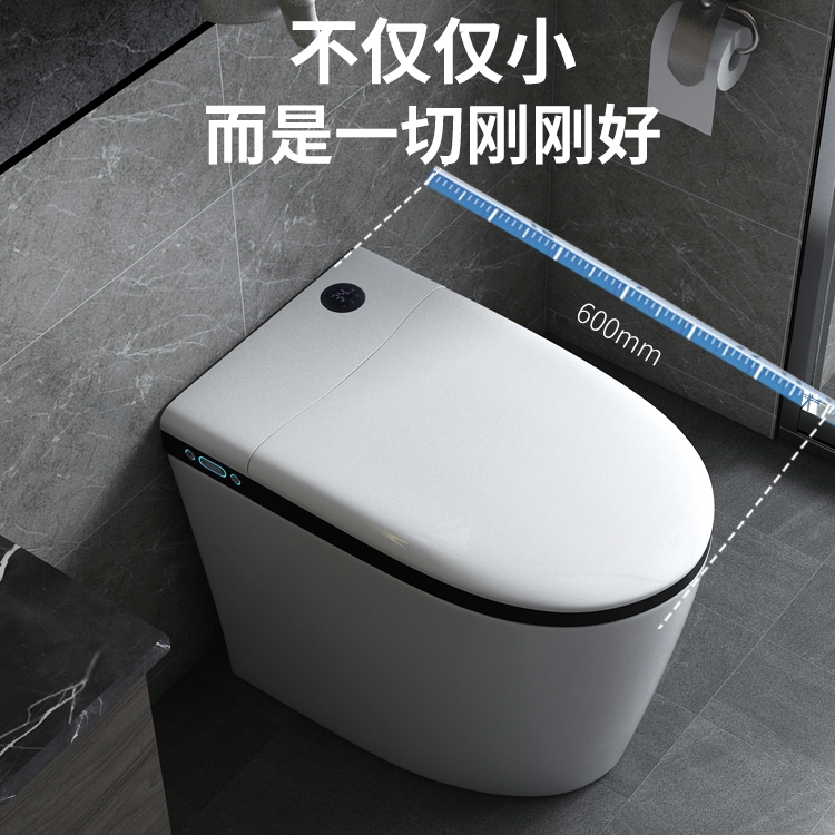 German motorcycle A39 smart toilet small size full automatic flip cover integrated hot small unit electric toilet