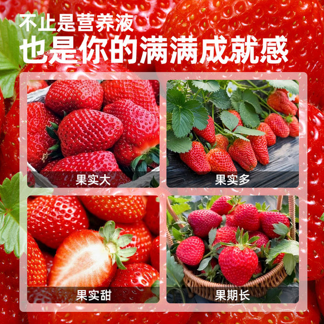 Strawberry fertilizer special fertilizer nutrient solution concentrated type home gardening liquid fertilizer organic fertilizer universal potting type