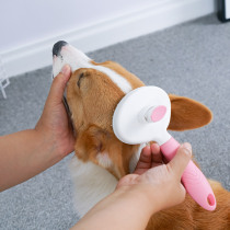 Pooch Comb Kitty Brush Teddy Kirky Special Dog Hair Brush God Instrumental Pet Dresser Medium Dogs Supplies