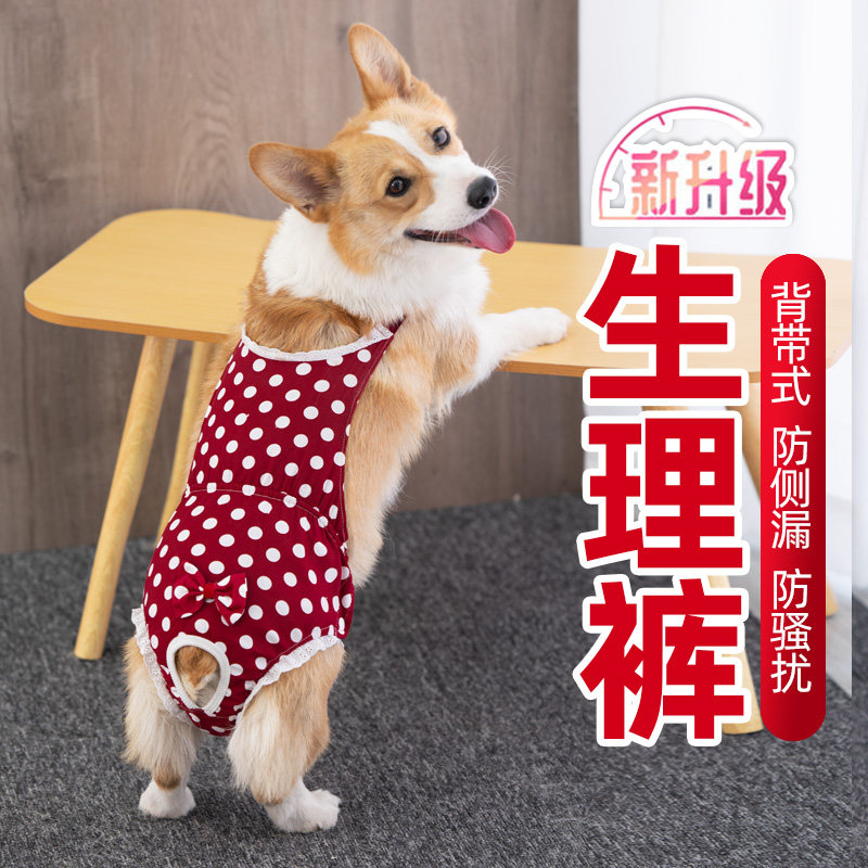 Mother Dog Physiology Pants Female Dog Sanitary Pants Neuter Aunt Pants Kirkiefa Safe Menstrual Pants Anti-Mating