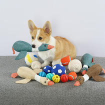 Pooch toy resistant to small dog grindle pet ball Koki Fou Teddy vocal puppy toy chai dog supplies