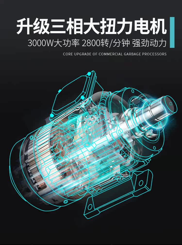 QS-AE_07.jpg