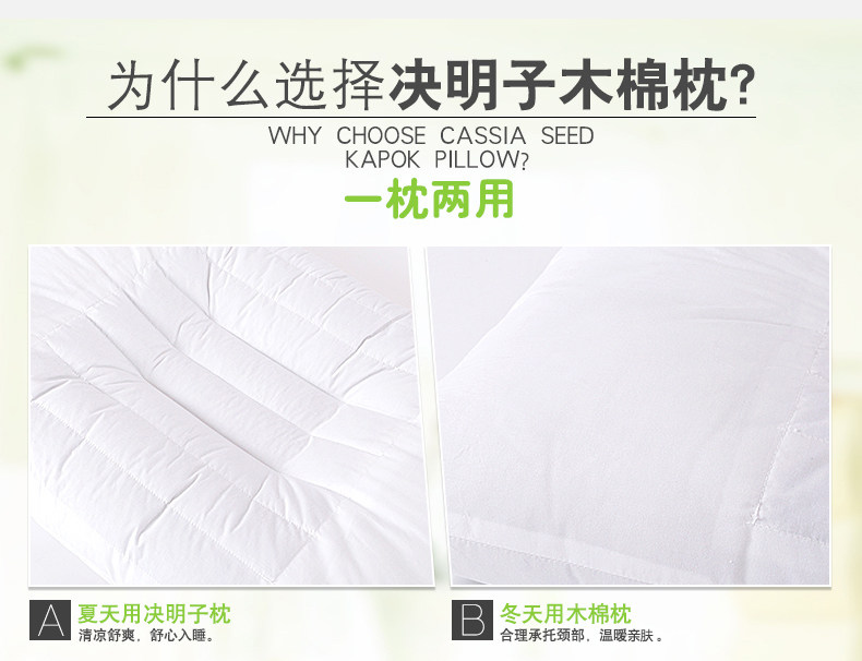 19-00J Cassia+Kapok Pillow -160725_03.jpg