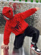 French Spider-Man Jacket for Boys, Spring and Autumn Ultraman Clothes, 2026 New Model, Small Children's Fleece-Lined Boys' Baby Jacket
