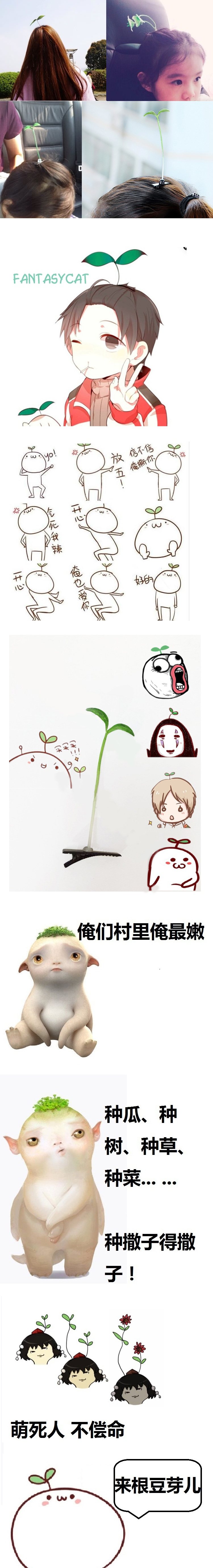 Accessoire cheveux en autre - Ref 1202117 Image 25