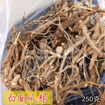 River white wind root Angelica soup material of the soup of the land - river white - surface wind - gen - search for the root of the broth - and - lean chicken - pot - pot material of 250 g wild
