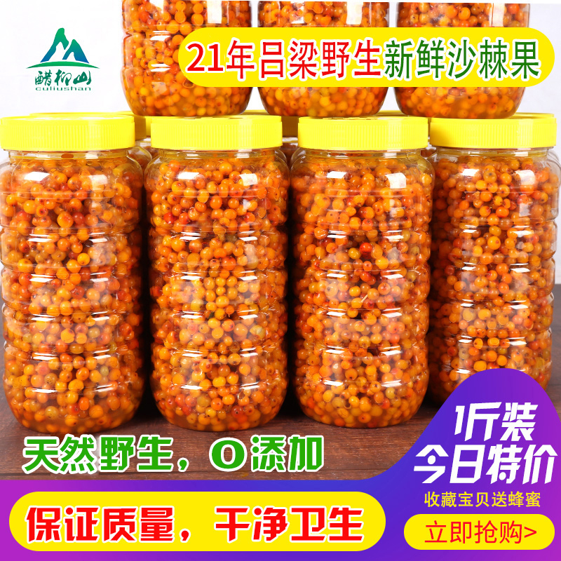 2021 Sea buckthorn fruit fresh fresh fruit Shanxi Lvliang specialty selected wild extra-grade sea buckthorn fruit enzyme juice 1 catty