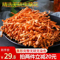 Cordyceps flower dry super wild 150g Cordyceps militaris spore head fresh golden Cordyceps soup material