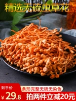 Cordyceps Flower Dry Goods Special -Распространение дикой природы 150 г настоящей северной кордонистской соломинки