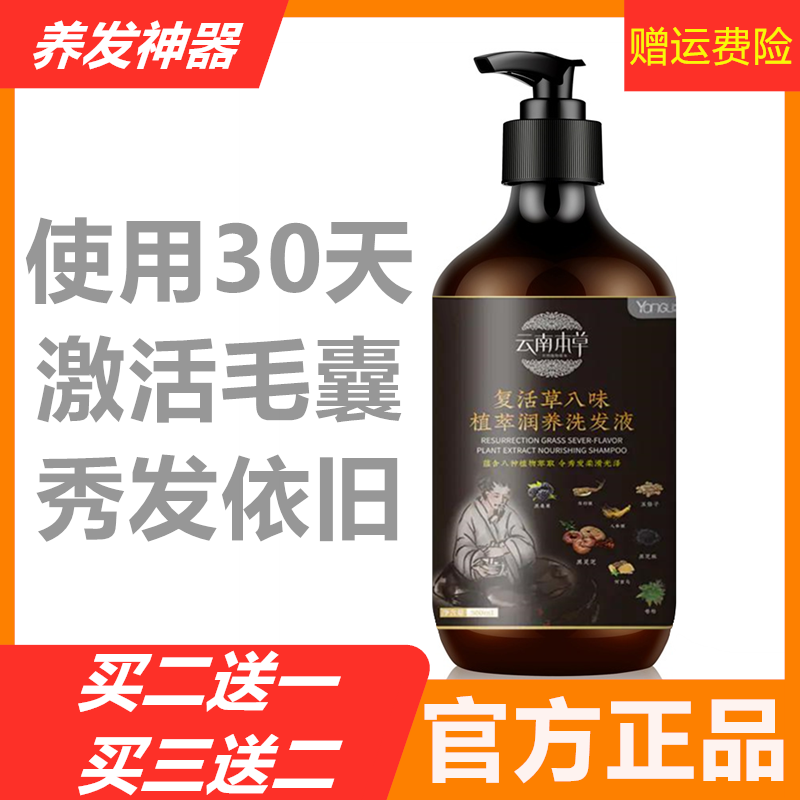 Resurrection grass Yunnan Materia Medica 8 flavors nourishing shampoo liquid eight flavors hair nourishing artifact deep long-lasting refreshing 300ml