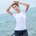 Phiên bản Hàn Quốc của áo thun yoga co giãn mỏng và nhanh khô chạy tập luyện thoáng khí áo sơ mi ngắn tay thể dục nữ áo thể thao nữ ba lỗ Áo phông thể thao