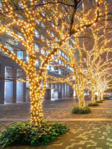 Solar Outdoor Street Trees Brightening Waterproof Led Lights Strings Full Of Stars Holiday Patio Decorated Flashing Lights