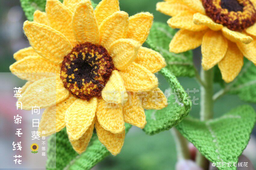 Blue Moon Home Wool flower large middle sunflower material package (excluding crochet flower pot) has difficulty novices to shoot carefully