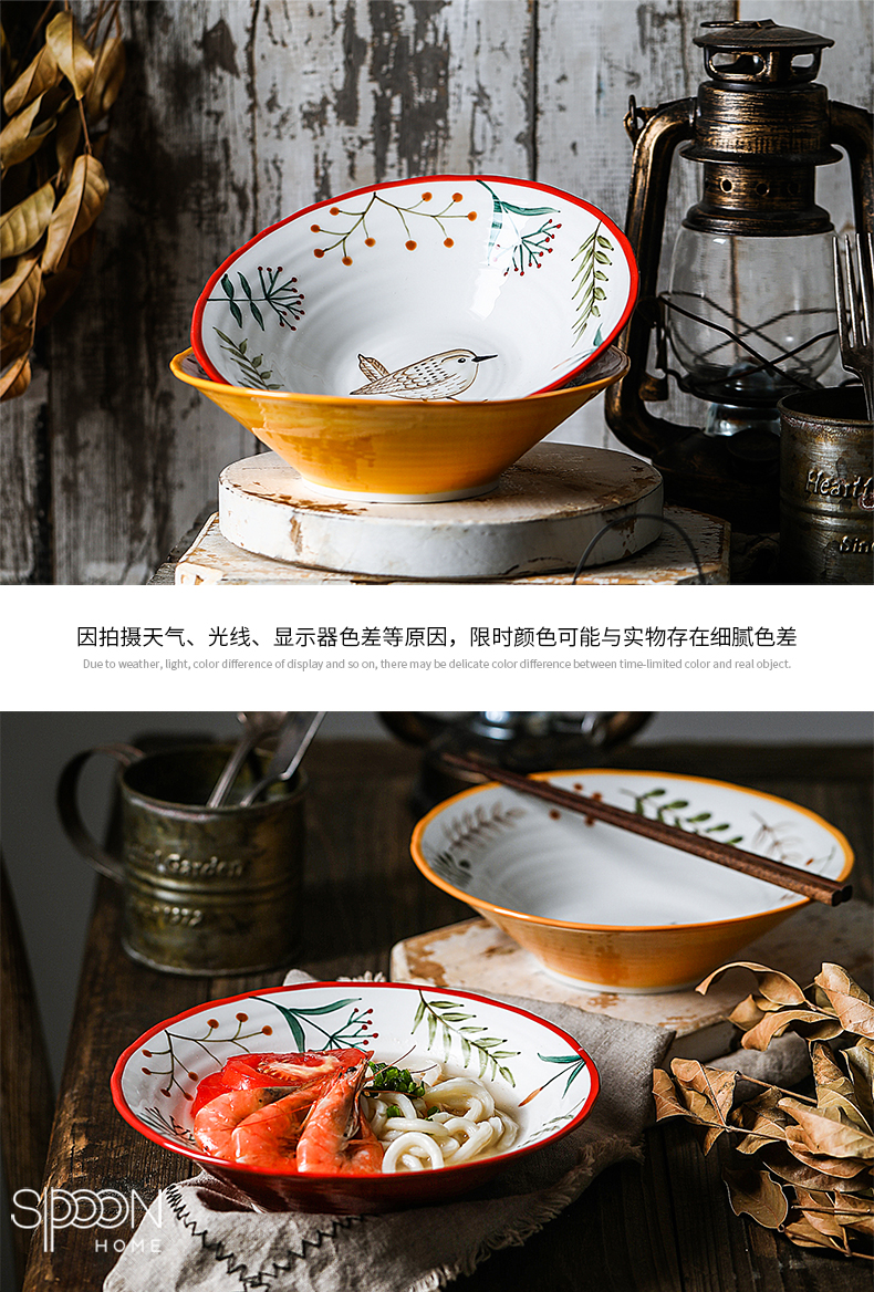Japanese cartoon express ceramic creative express animal fruit large bowl of beef noodles in soup bowl of sweet fruit salad bowl