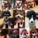 Pet funny wig pet dog wig headgear headwear pet supplies pet wig pet head