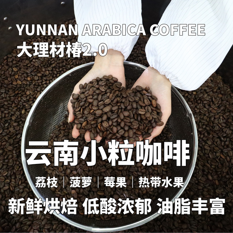Yunnan Small Grain Coffee, Cuchun Manor Dali Cuchun Coffee Beans, Drip Coffee