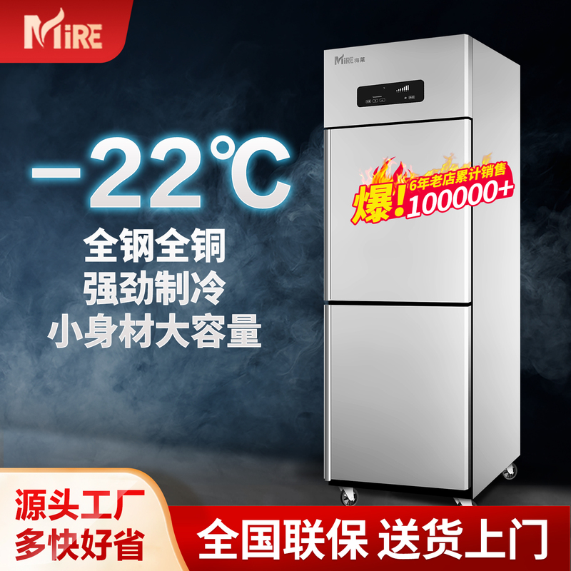 Two-Door Commercial Refrigerator, Double-Door Freezer and Cooler, 2-Door Freezer, Fresh-Keeping Freezer for Kitchen, Hotel, Restaurant, Two-Door Vertical Freezer