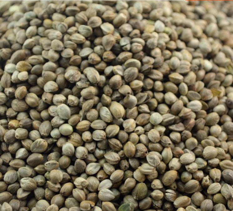 Chinese herbal medicine fire sparring linen linen 250 gr hemp seed fire hemp seed raw hemp seed hemp real thread hemp seed