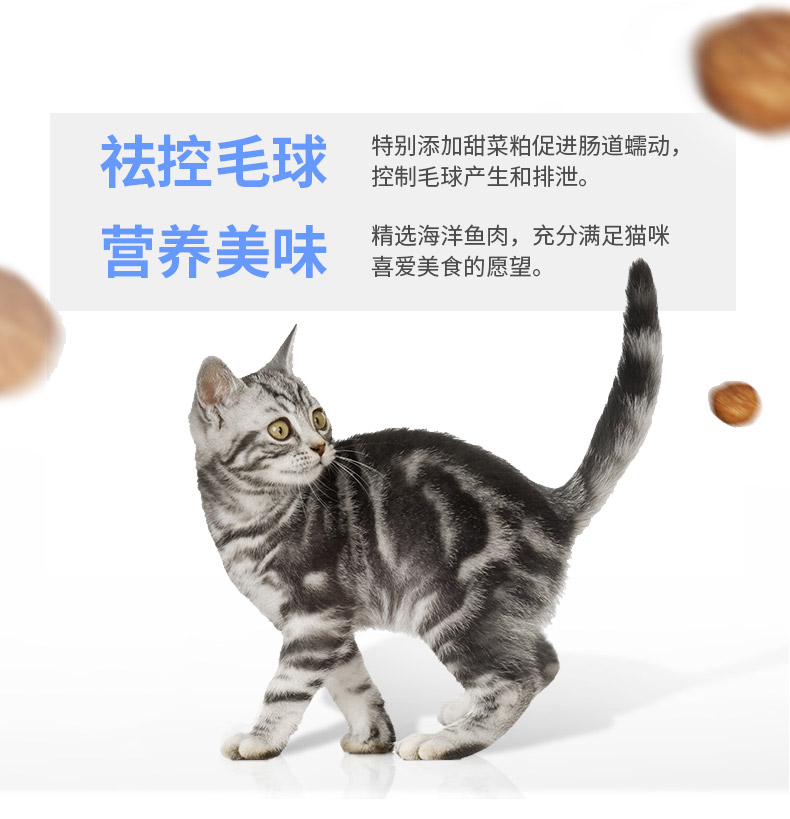 Mai Fudi thành thức ăn cho mèo 10kg Anh ngắn màu xanh ngắn đẹp thành mèo trong nhà mèo tự nhiên thức ăn cho mèo 20 kg - Cat Staples hạt nutrience