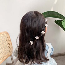 Childrens small catch clips Hair Clip Cute Flowers Pearl Card Princess Girl Hairpin Girl Hair Card Baby Hair Accessories Girl Hair Accessories