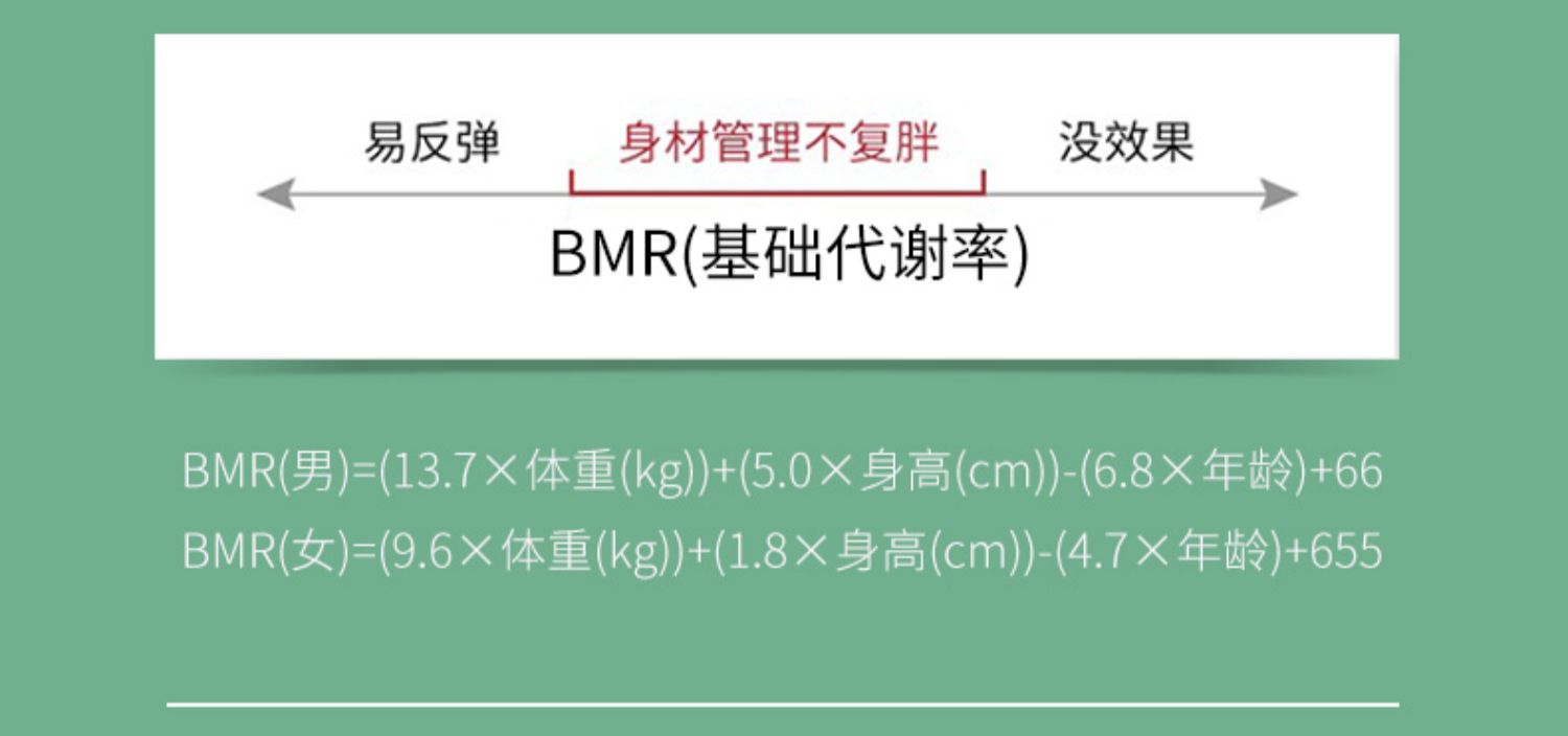 【魔力俏】代餐奶昔便携饱腹奶茶6瓶装