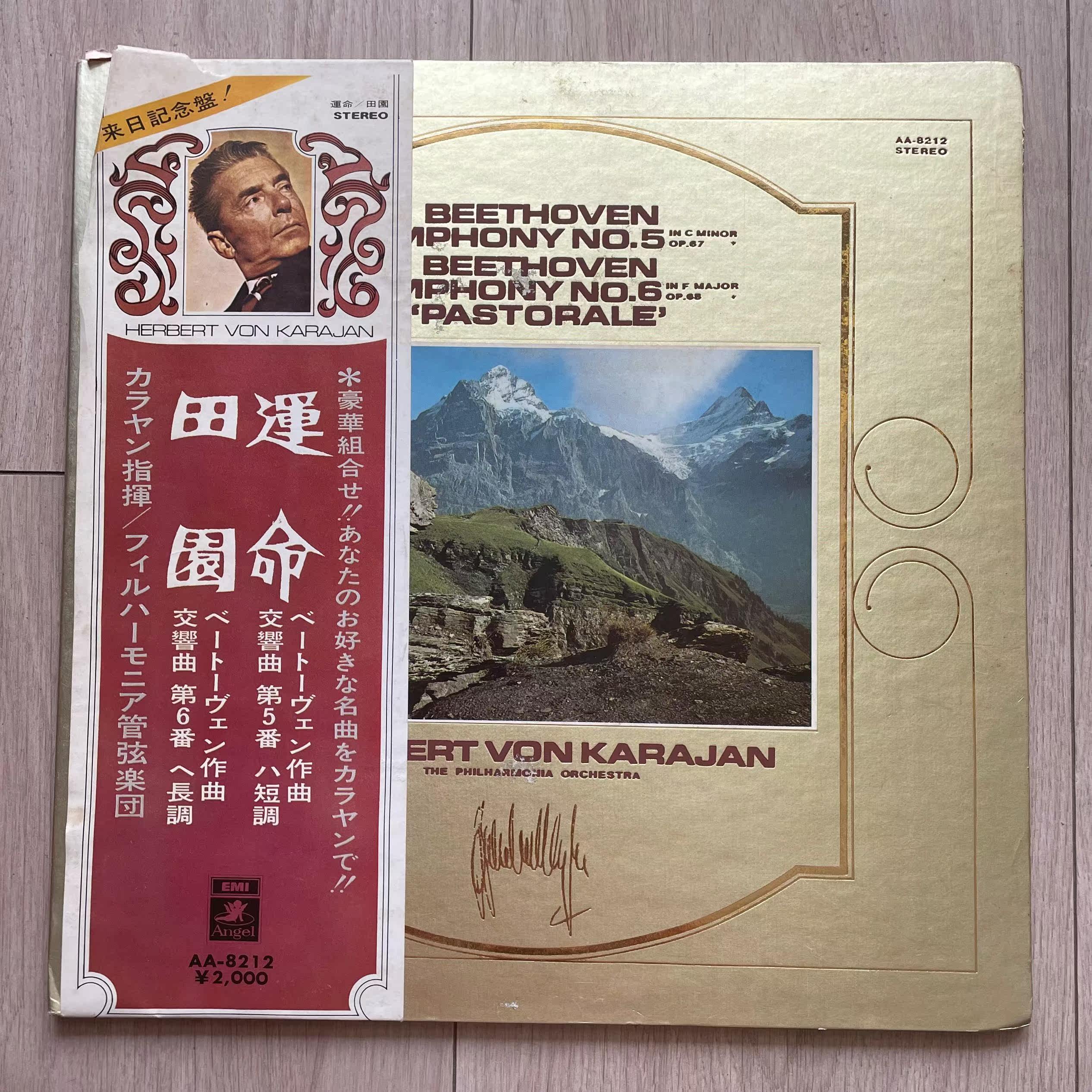 Beethoven Beethoven symphony NO 5 Destiny Symphony NO 6 fields Black Gel Record LP