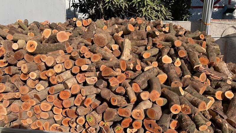 1100 One-Ton of Dried Lychee Wood Firewood, Durable Fruit Wood for Fireplace, Decorative Wood for Boiler 1100 One-Ton of Dried Lychee Wood Firewood, Durable Fruit Wood for Fireplace, Decorative Wood for Boiler