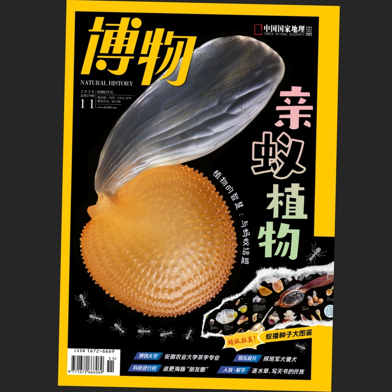 Natural History Magazine November 2026: Ant-Like Plants, May Issue of the Aquarium Magazine about Flying Squirrels, April Issue #3: Peach Blossoms / [Natural History 2025 Supplement: Strange Pet Box, Ancient Zoo, 2022 Supplement / Sketches of Plants Around Us]